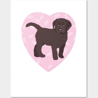 Chocolate Labrador Puppy Love Pink Heart Posters and Art